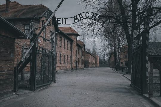 Auschwitz and Beyond - Krakow's Historical Journey